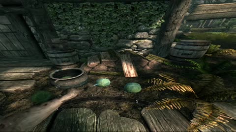 Skyrim VR-Basketball