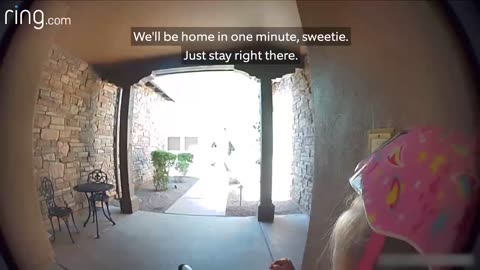 aylor Talks to Her Neighbor On Ring Video Doorbell After Running Away From a Bobcat | RingTV