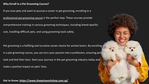 Why is pet grooming important for your pet’s health? — The Pets Workshop