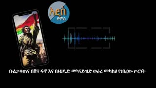 ቡልጋ ቀጠና በሸዋ ፋኖ እና በኦህዴድ መካናይዝድ ወራሪ መካከል የተደረገ ጦርነት - ከሸዋ ፋኖ ጋር የተደረገ ቆይታ