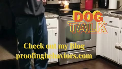 Check out my Blog "Dog Talk"