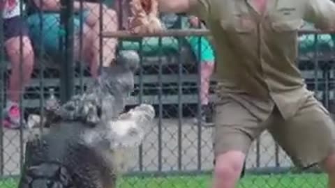 Video of Steve Irwin Posted on TikTok by his son Robert Irving.