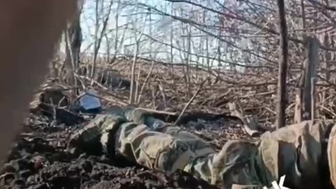 War in ukraine Donbass