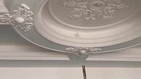 Ceiling roof