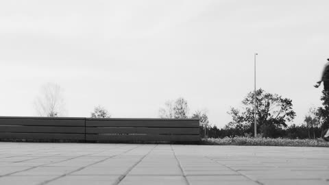 Two Young Men Doing A Boardslide Over A Railing