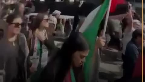 Pro Palestine rally in San Francisco California