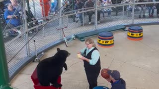 Real Bear Catches Ball and Shoots it in Hoop!