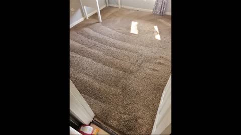 Superior Steam Carpet Cleaning - (323) 608-0787