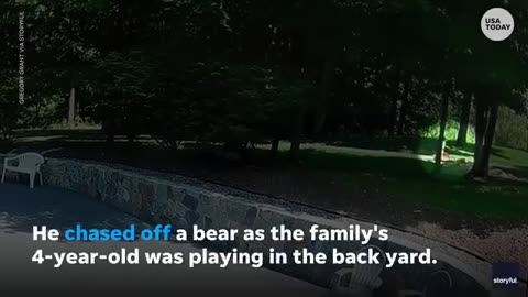 A 4-year-old boy's dog protected him from a bear roaming in his backyard.