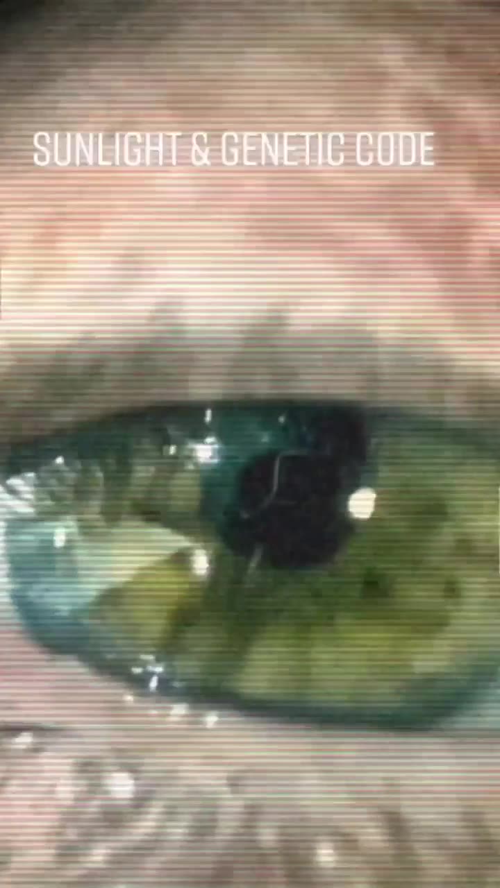 Sunlight and Genetic Code