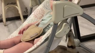 Cat Appears to Swing Baby in Rocker