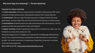 Why Some Dogs Fear Grooming? — The Pets Workshop