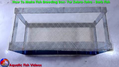 How To Make Fish Breedin Box- For Zebra - Tetra - Barb Fish