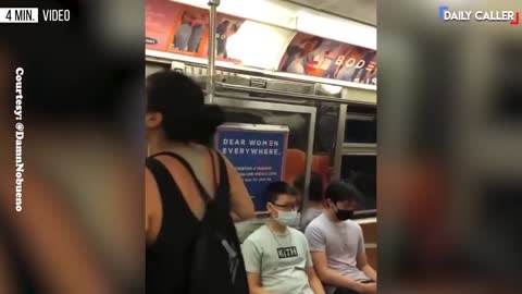 Conscious Woman Tears Up Woke Ads On Subway Train