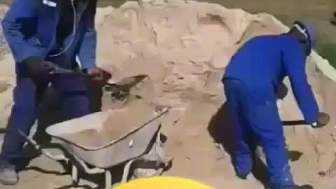 South African workers