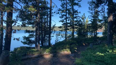 Central Oregon – Paulina Lake “Grand Loop” – Forested Shoreline – 4K