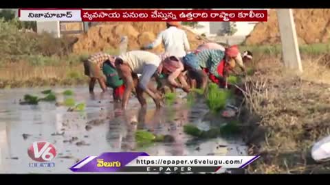 Bihar Farming Workers Plant Rice Seedlings In Just 1 Hour For 1 Acre | Nizamabad | V6 News