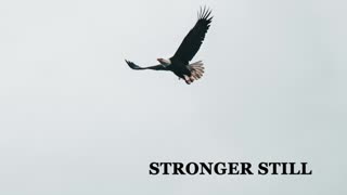 Pray USA, 1/27/23 Stronger Still