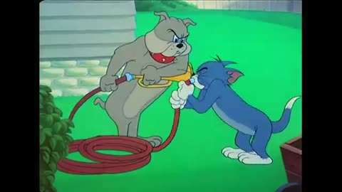 Tom and jerry