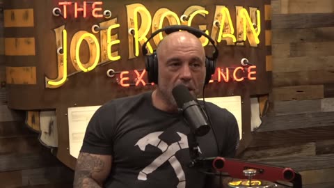 Joe Rogan & Theo: Have You Seen What's Going On With Orcas!