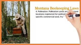 Beekeeping Supplies Colorado