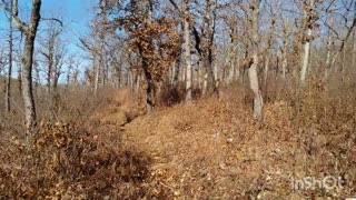 Nov 2019 - Meramec State Park - Part 2 Wilderness_