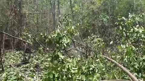 Engines used for illegal mining in Canaima National Park detected and destroyed