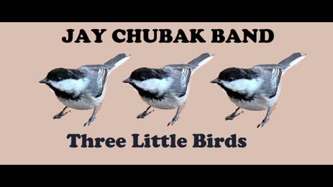 JAY CHUBAK BAND - THREE LITTLE BIRDS