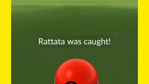 Pokémon GO Rattata 329 CP "pokemongo"
