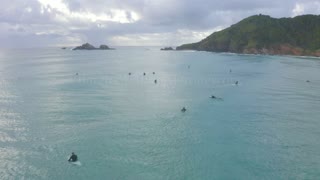 Broken Head Dolphins and Surfers Sharing the waves