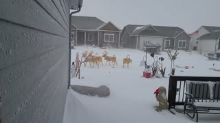 Snow Ottawa KS 12-22-22