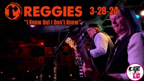 Heart Of Glass Blondie Tribute Band Covering Blondie's I Know But I Don’t Know Reggie's Chicago