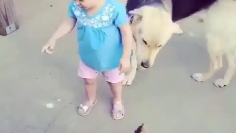 child playing with a super sweet dog