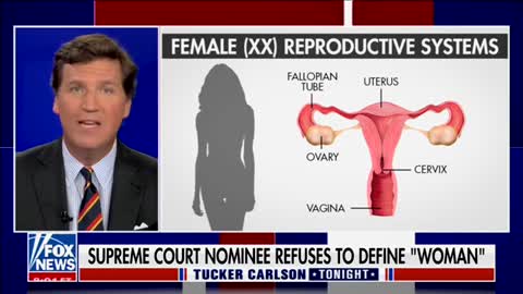 Tucker: Judge Jackson Is Telling Us that Only Biologists Can Define What a Woman Is
