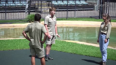 How Terri convinced Steve Irwin to adopt Charlie the Crocodile _ Australia Zoo