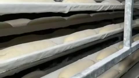 How the bakery works from inside