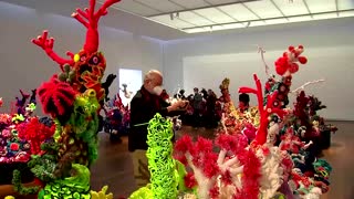 Crocheted coral in Germany to combat climate change