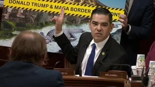 Dem Congressman trying to tell us President Trump's plan for the border is a bad thing.