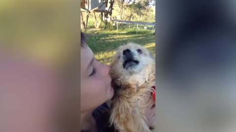 Dog does not know how to kiss :))