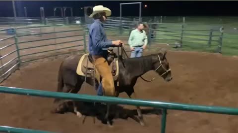 Quarter Horse’s first ride by trainer