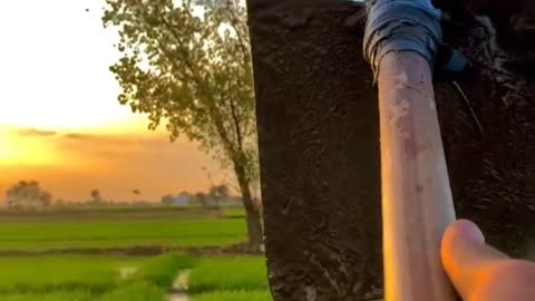 Farming boy farming short reels and nature