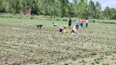 Village Life In India Uttar Pradesh [] Rural Life India In UP [] natural Life Style In India