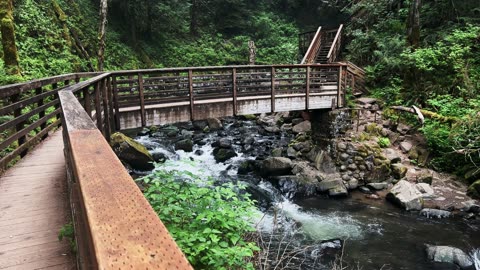 BEAUTY & SERENE SILENCE @ Majestic Falls! | McDowell Creek County Park | Oregon | 4K