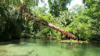 Kayaking Florida