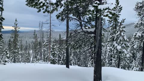 Mount Bachelor & Deschutes National Forest Basin – Central Oregon – Vista Butte Sno-Park – 4K