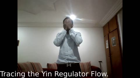 - Tracing the Yin Regulator Flow - Tracer le radiant circuit Regulator Yin.