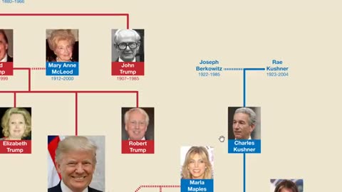 Donald Trump's Family Tree 🎄🎄🌴🌴🎄🌴