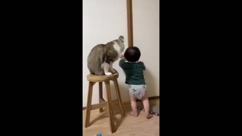 10 minutes of funniest Cats Video 🤣 Best of 2024