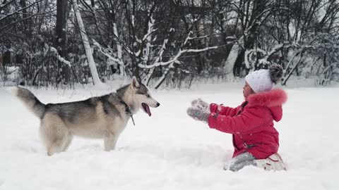 Cute Puppy Enjoying In The Snow with His Best Friend