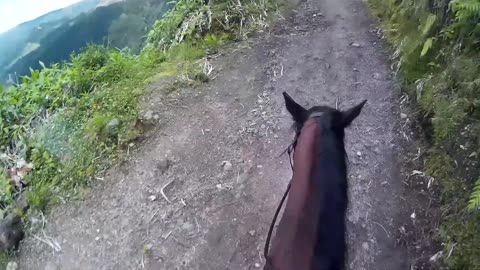 Travel video - Horseriding Sete Cidades - São Miguel - Azores.